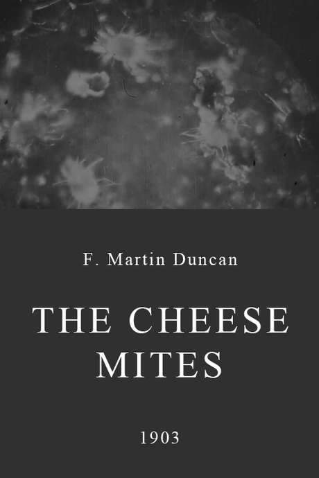 A gentleman enjoys a lunch of bread and cheese while glancing at his paper through a glass. Noticing the cheese looks odd, he inspects it and discovers it teeming with crab‑like mites. Disgusted, he abandons the meal as mites scuttle across the surface, and it is the first science documentary.